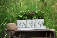 73655 Plant Pots New Orchard