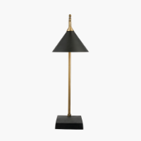PACIFIC LIFESTYLE ZETA MATT BLACK AND ANTIQUE BRASS TABLE LAMP