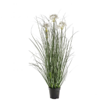 GALLERY POTTED GRASS W4 HEADS WHITE